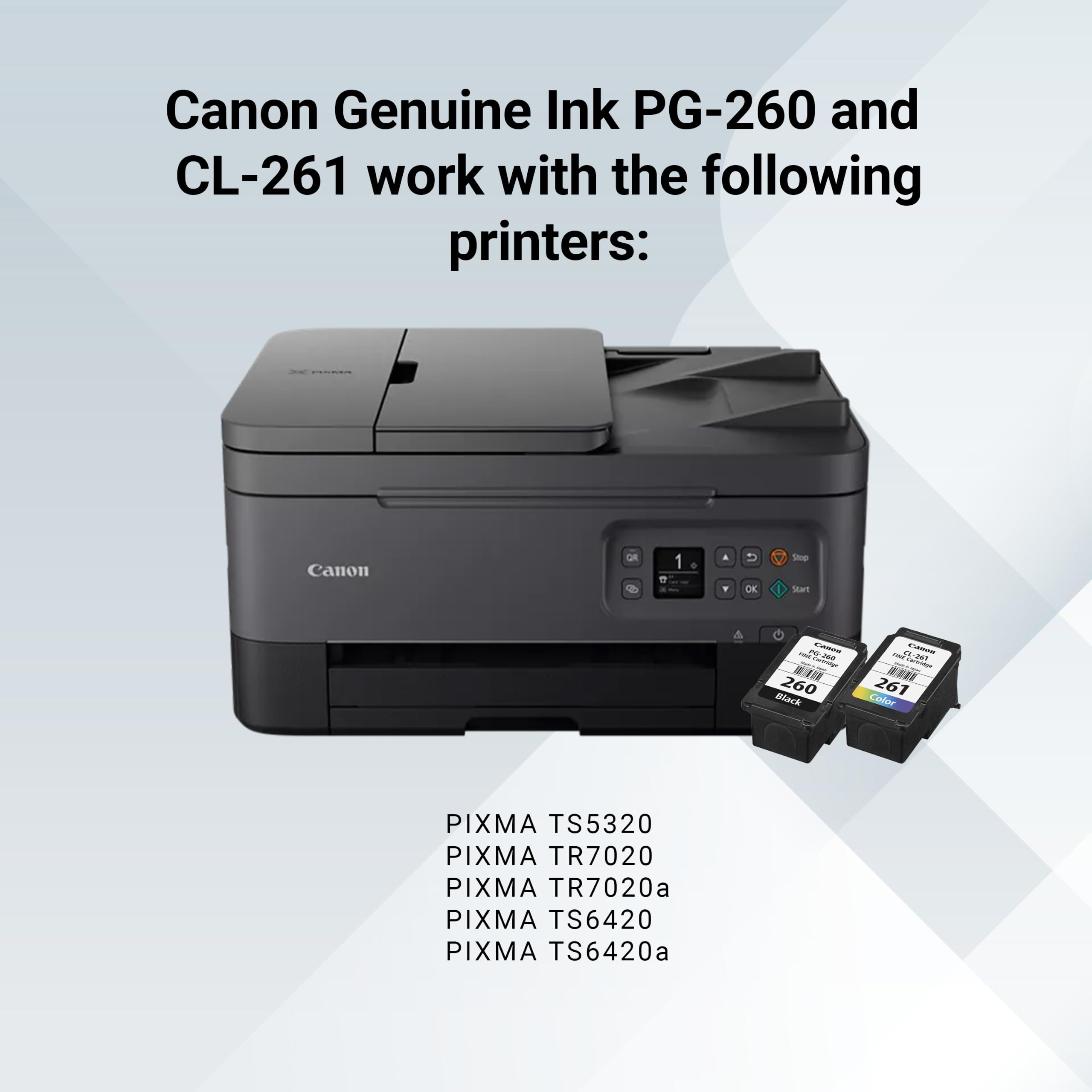 Amazon.com: Canon PG-260 / CLI-261 Genuine Ink Value Pack (2
