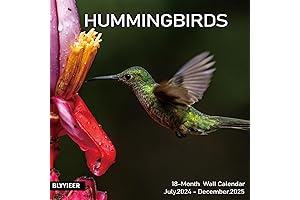 2023 Hummingbird Wall Calendar