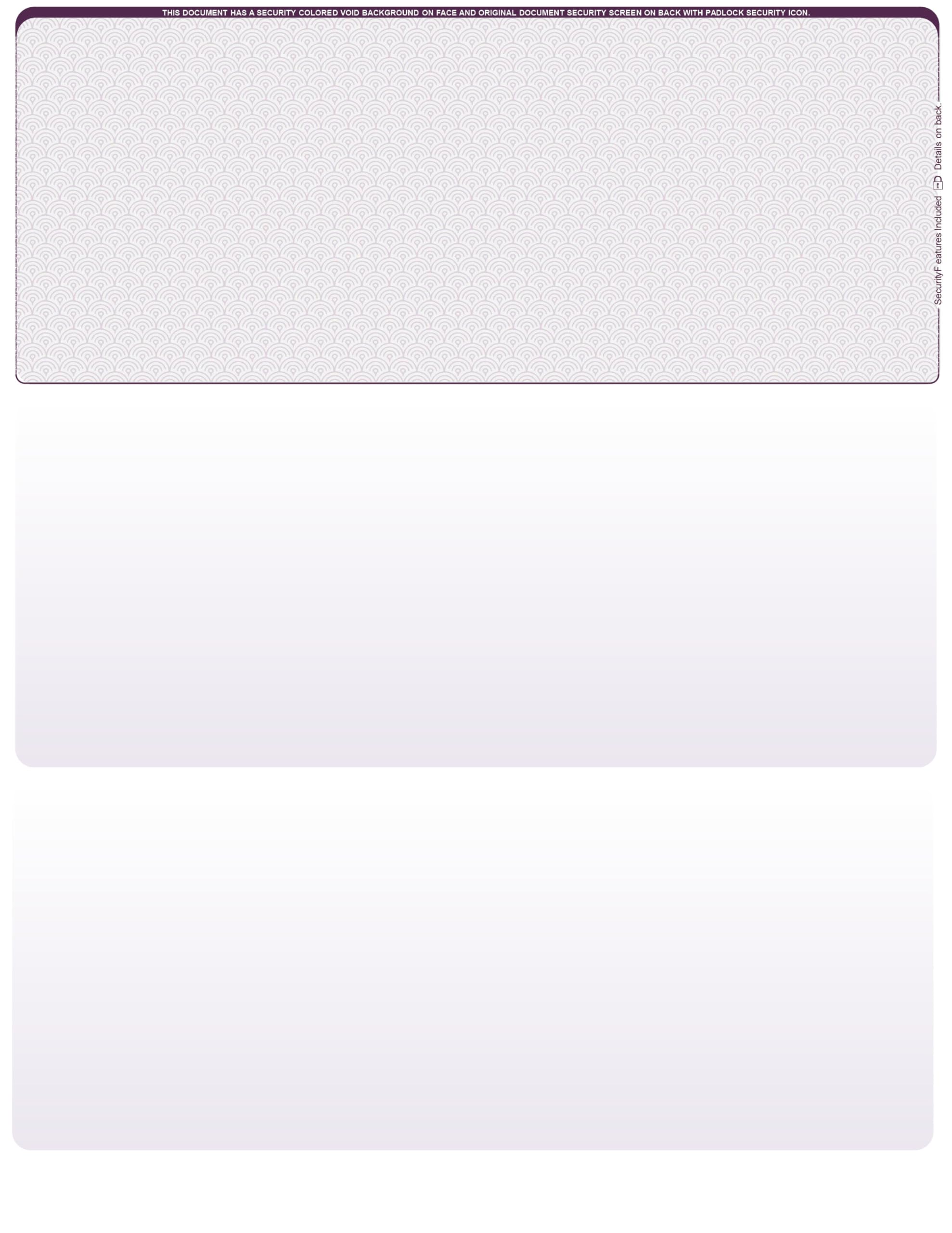 Blank Laser/Computer Checks Top Style (Violet Safety, Qty. 500)