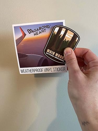 Miniatura 7 de Muir Woods National Monument Vinilo Adhesivo