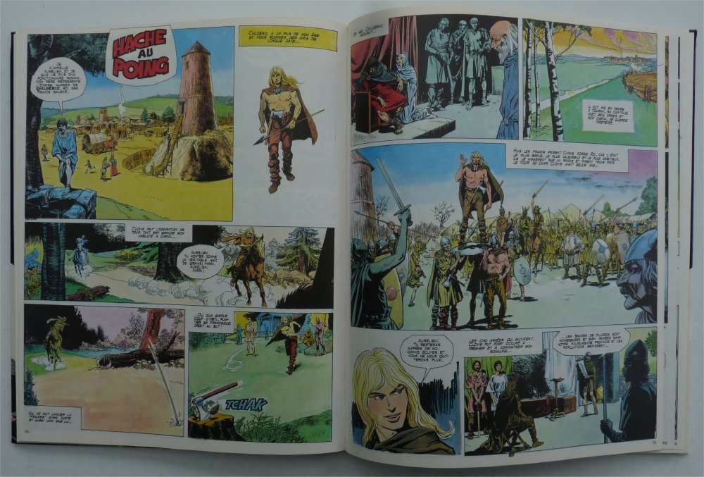 Histoire de France en bandes dessinees / de vercingetorix aux vikings