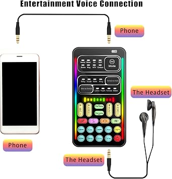 Flylin Portable Handheld Microphone Voice Changer 16 Effects for Gaming