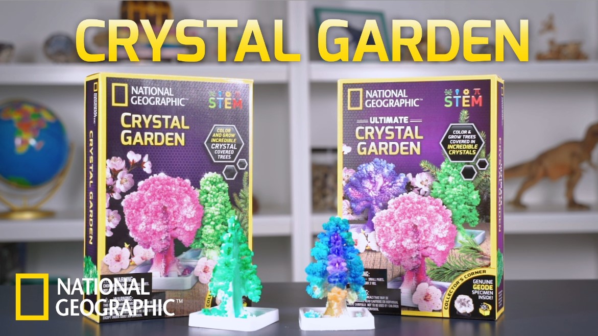 Amazon.com: National Geographic Craft Kits for Kids - Crystal