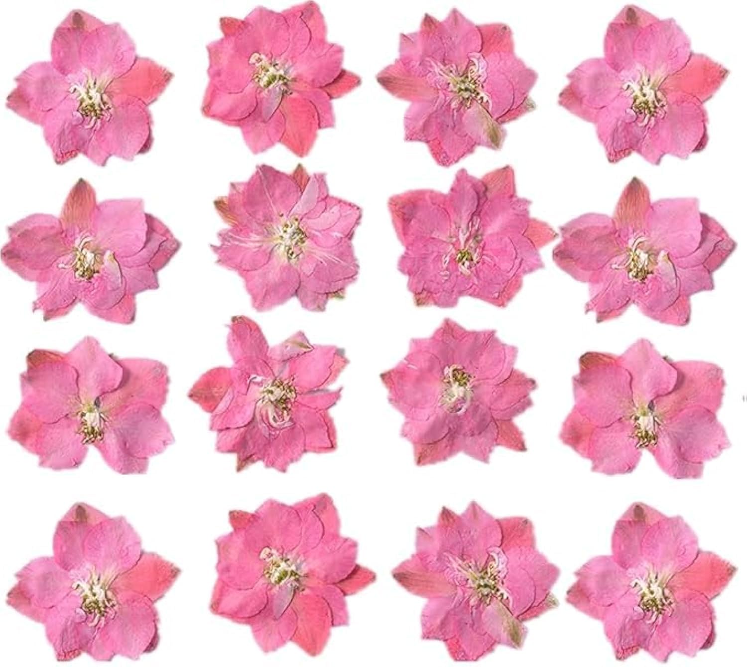 KASTWAVE Pink Dried Flowers for Resin, Delphinium Dried Flowers for Candle Making Soap Making Resin Jewelry, Pressed Flowers for DIY Crafts Art (12pcs)