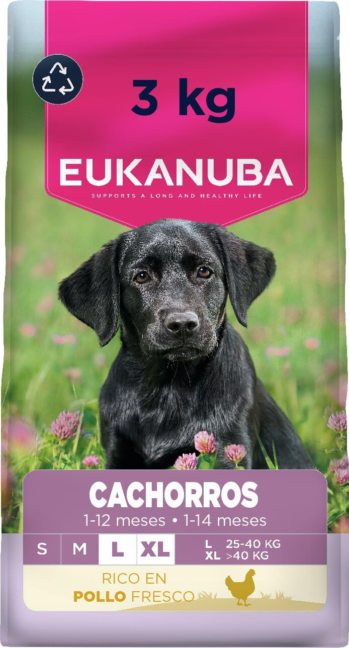 Eukanuba, alimento para Cachorros con Pollo Fresco para Razas Grandes - Alimento seco Premium para Perros Junior, 3 kg