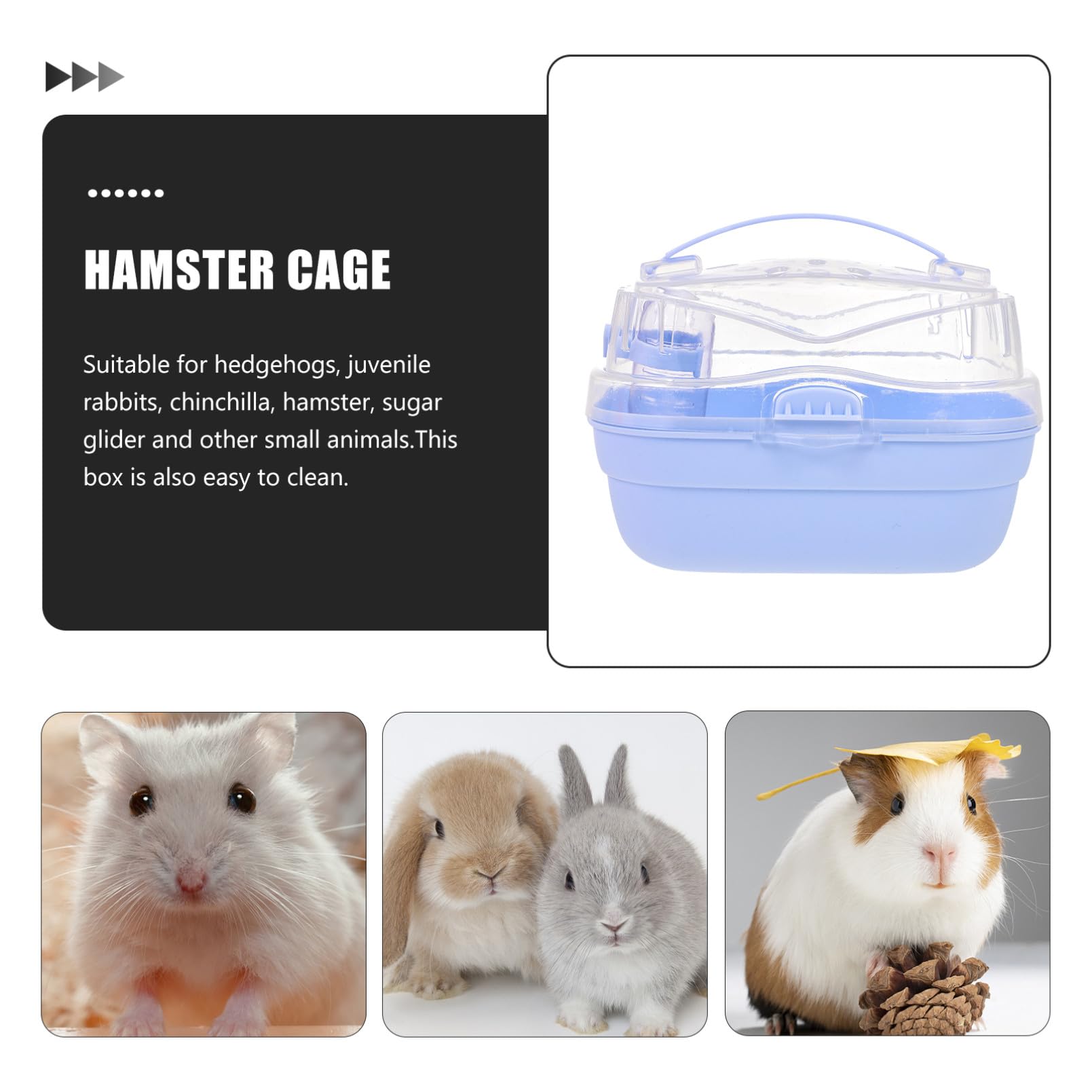 Tragbare Hamstertransportbox für Kleine Tiere und Mäuse aus Pp