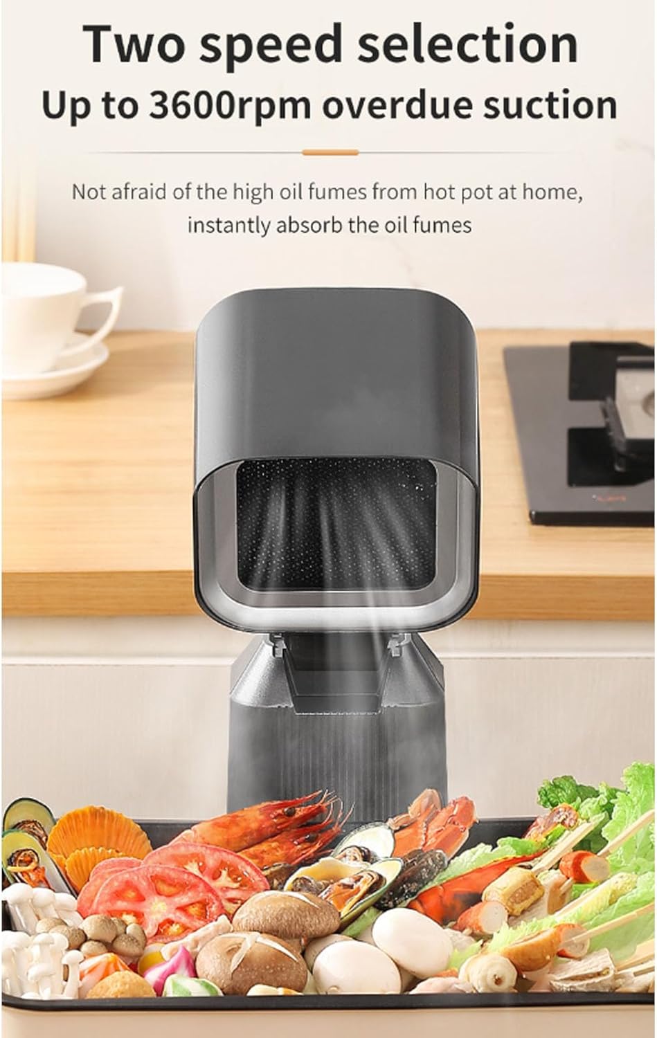 Ejoyous Portable Range Hood with two speed selection feature