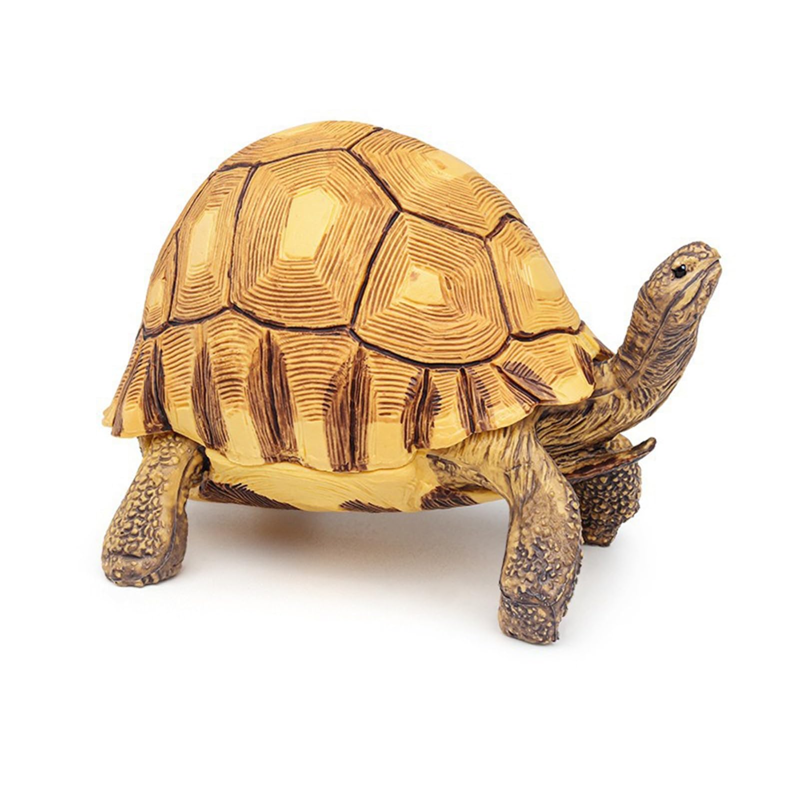 Fogcroll Simulation Model Realistic Tortoise Figurine Miniature Animal Educational Toy Home Office Desktop Decoration Ornament