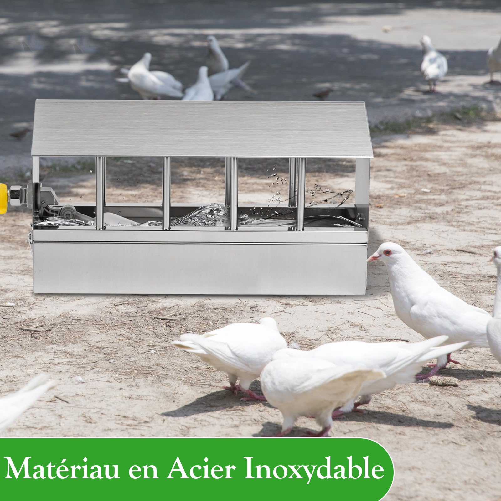 Abreuvoir automatique pour poulet en acier inoxydable grande capacité pour pigeons cailles poussins