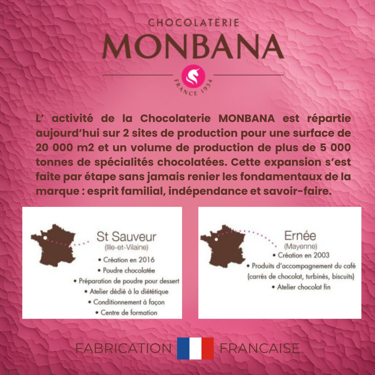 MONBANA - 100 sachets de chocolat en poudre Trésor - 25 g | Doses individuelles de 25 g de chocolat en poudre à déguster tout au long de la journée - Chocolat chaud, petit déjeuner