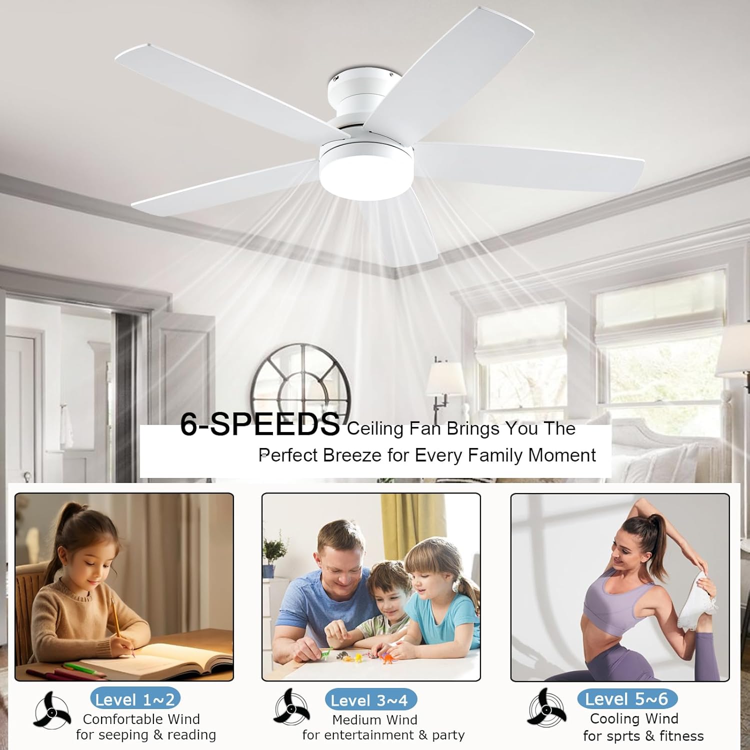 Ceiling fan dimensions and mounting options
