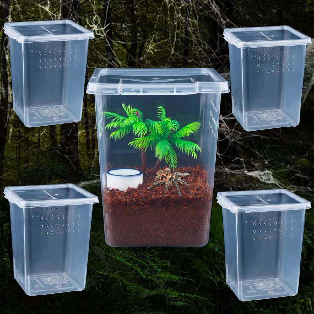 Buy 5 Pack Spider Terrariums Breeding Box Insect Hatching Container