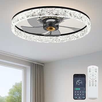 Fszdorj 20 Ceiling Fan with Light and Remote,Balck Low profile Fandelier
