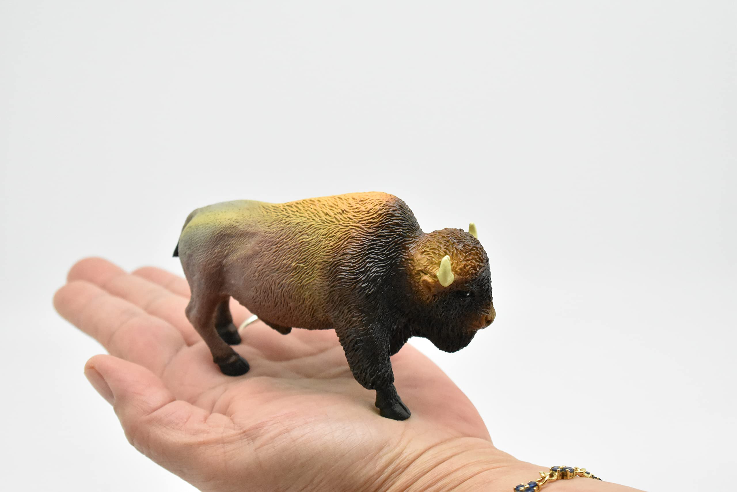 Amazon.com: Buffalo, Bison Realistic Model Plastic Replica Forest