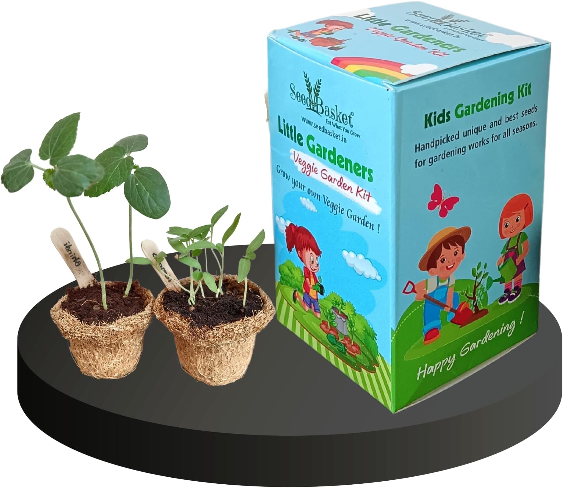 Seed Basket Kids Gardening Kit | Kids Diy Kit | Gardening Kit For For Children 3-13 Year Old | Perfect Return Gift For Birthdays