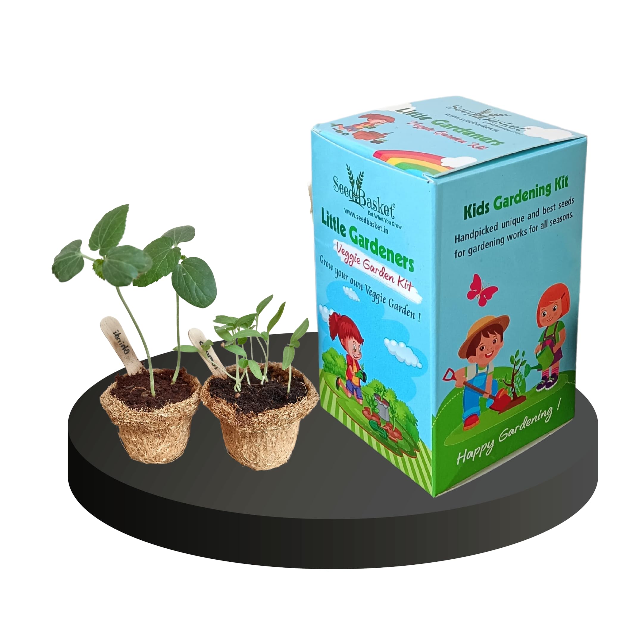 Kids Gardening Kit | Kids Diy Kit | Gardening Kit For For Children 3-13 Year Old | Perfect Return Gift For Birthdays