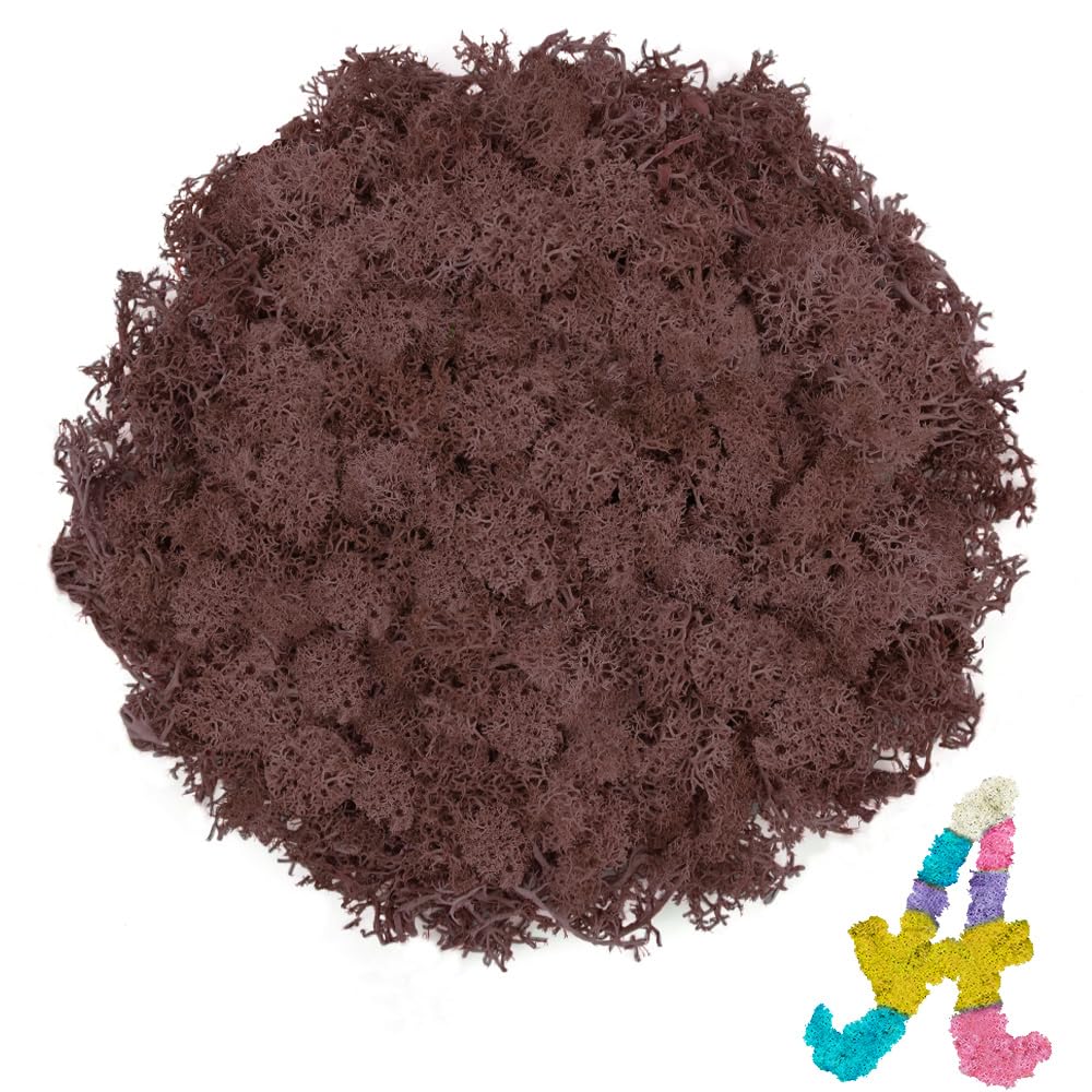 Preserved Reindeer Moss, 3.5 oz Brown Moss for Crafts