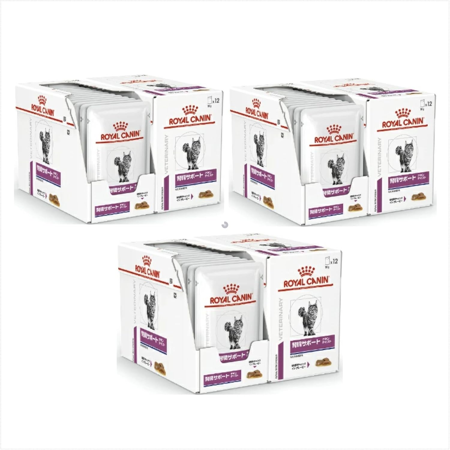 ロイヤルカナン腎臓サポート チキンテイスト ウェット パウチ 12個× 2