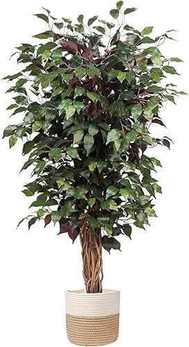 Árbol de ficus artificial de 4 pies de alto 48 pulgadas de seda sintética en maceta de algodón con hojas verdes con hojas rojas y tronco realista
