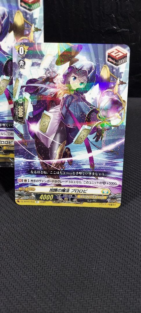 加護の魔法プロロビ