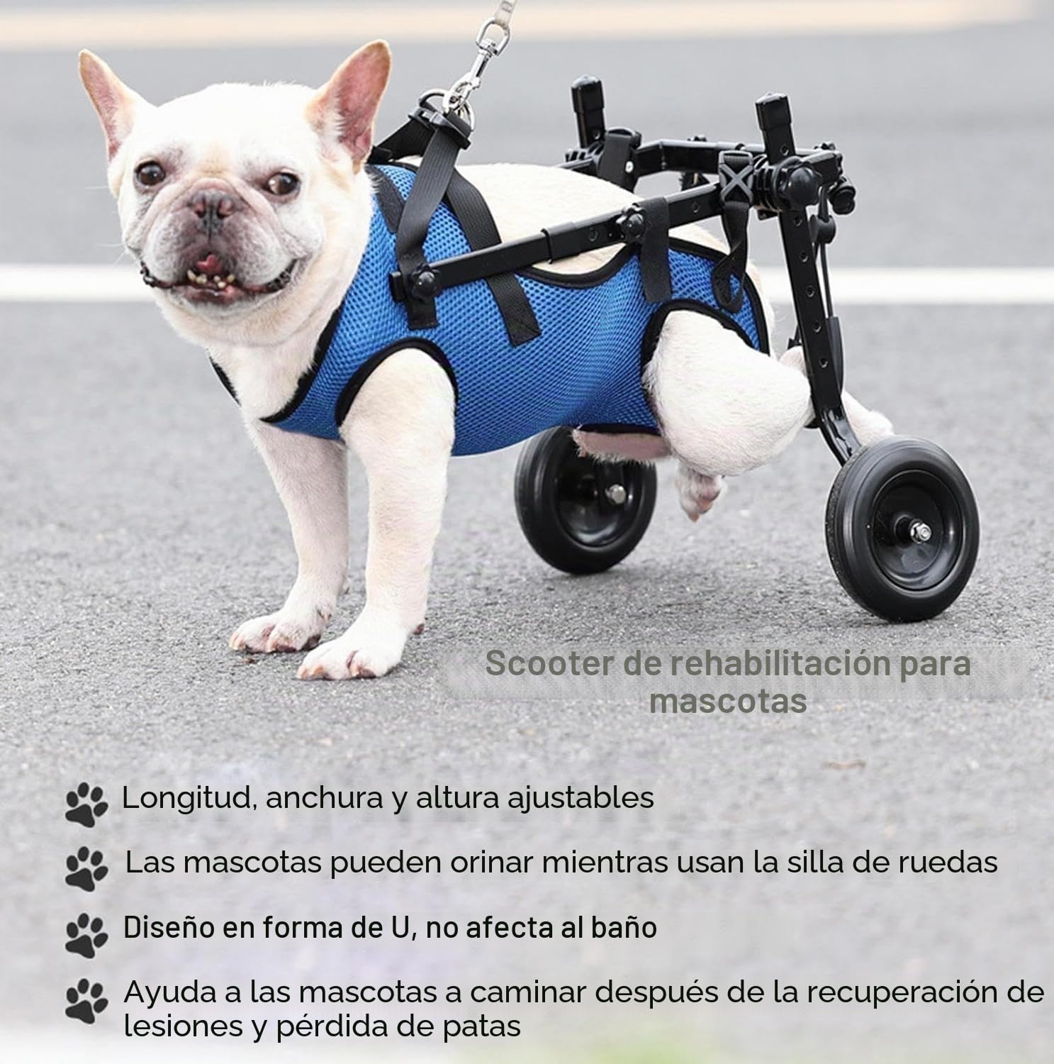 Silla de ruedas ligera para perros, carro para mascotas ajustable para patas traseras, carro de ayuda a la movilidad del perro con ruedas para cachorros lesionados con 5-8KG (M)