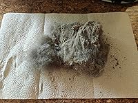 Review Image by Brette O'Connell Brette O'Connell