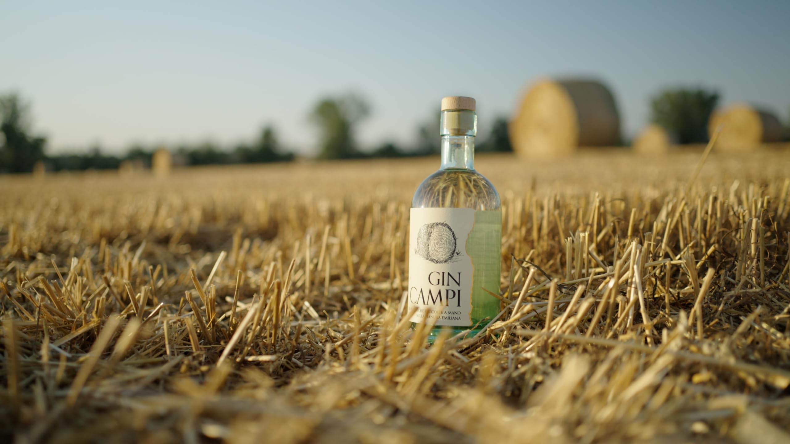 Gin CAMPI London Dry – Artigianale Italiano Premium | Small Batch 39% | Aroma di Fieno, Foglia di Pomodoro e Crema di Latte | per Gin Tonic e Negroni