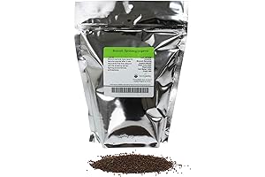Organic Broccoli Seeds for Sprouting by Handy Pantry | Nourishing Essentials for a Healthier You