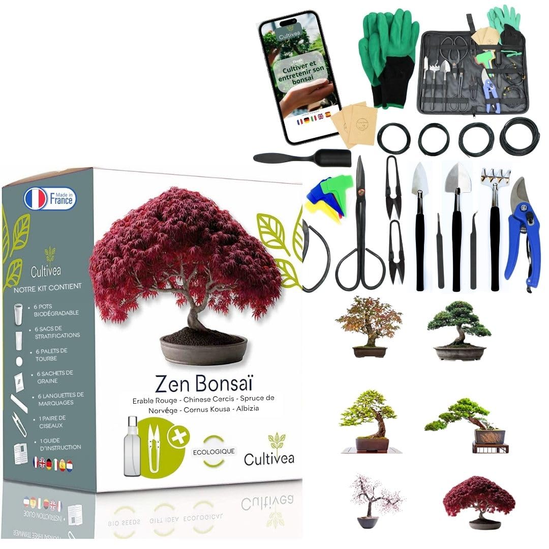 Cultivea® – Coffret duo bonsaï : duo bonsaï mini kit prêt à pousser 6 bonsaïs + lot de 32 outils en acier – Culture & entretien complet – Ciseaux, pinces, fil aluminium – Idée cadeau originale jardin