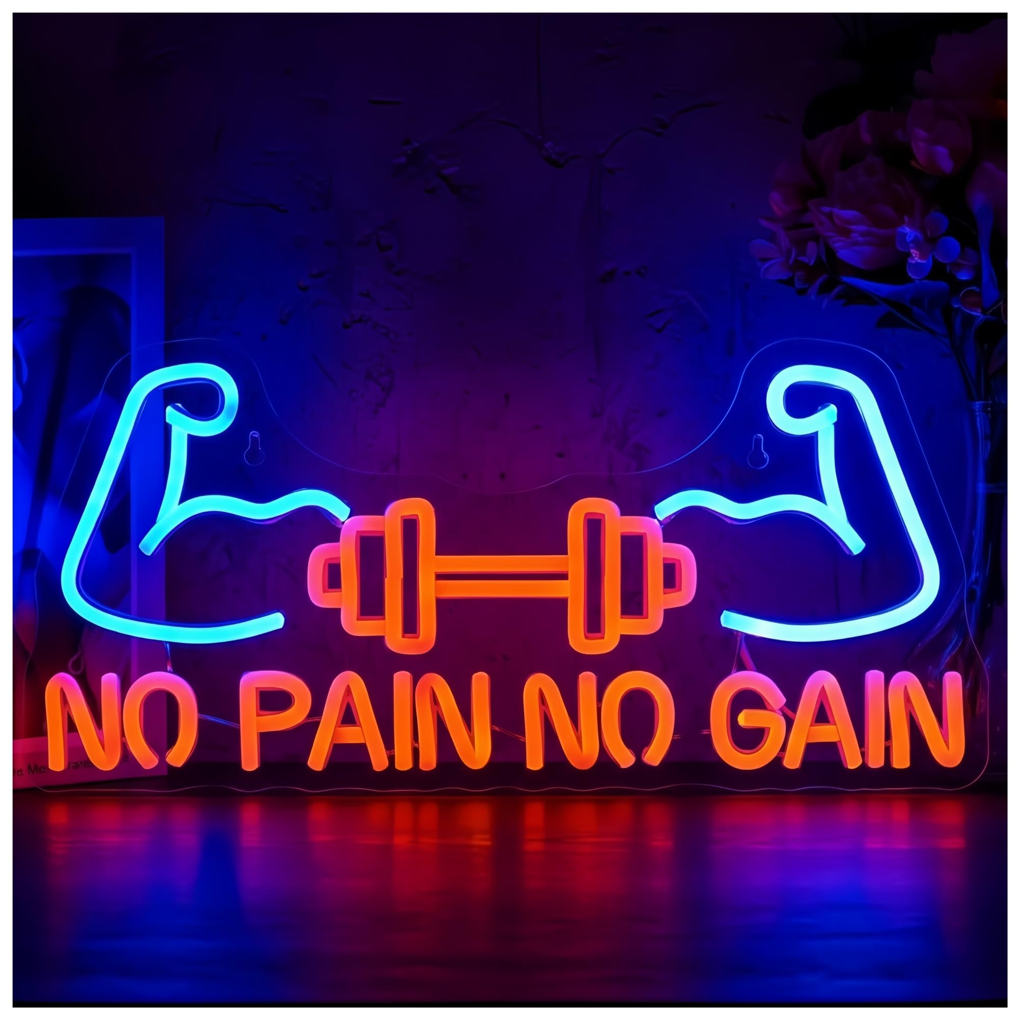 Zynther Neon lamp No Pain No Gain Neon Sign Light for Bedroom Fitness Club Gym Bar & Bodybuilding