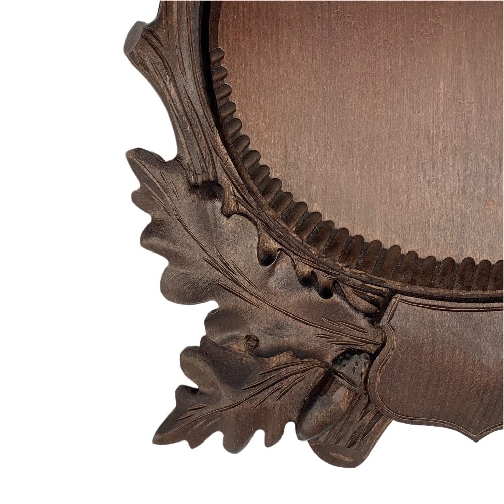 Hi Life Living Nature Scudo di Legno per Trofeo Cinghiale. Denti. Zanne. Caccia. 26x25cm 032203
