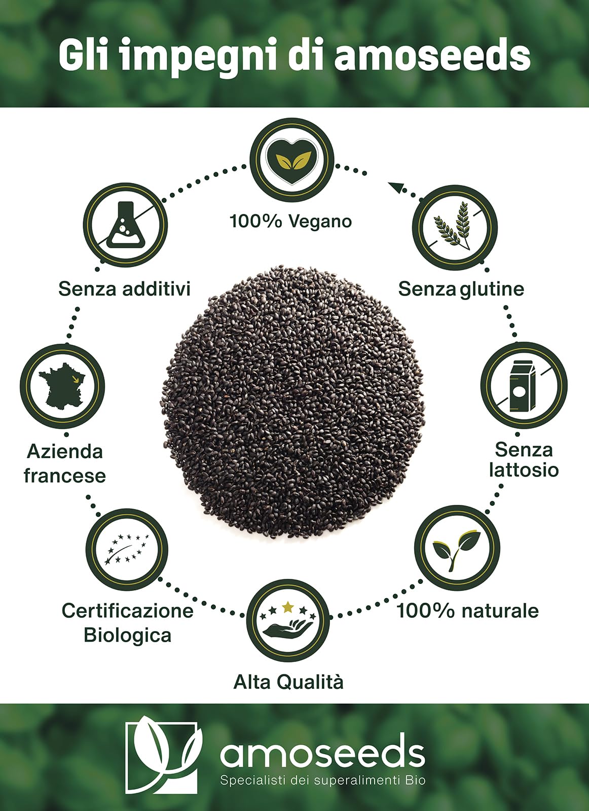 Semi di Basilico Bio 500G | Sazietà, Rinfrescanti, Ricchi di Proteine | Simili ai semi di Chia | Qualità Superiore