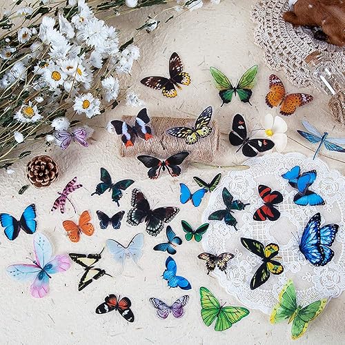 Miniatura 5 de Knaid juego de 240 calcomanías de insectos, de libélulas y mariposas, transparentes y resistentes al agua, de tereftalato de polietileno,