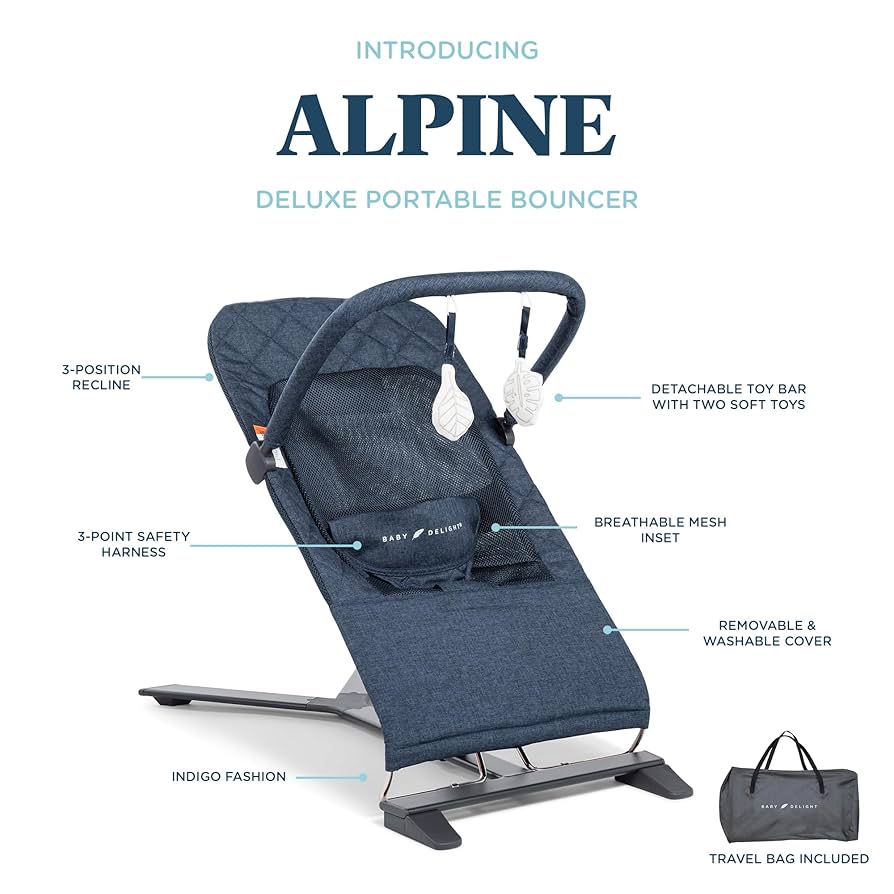 Amazon.com : Baby Delight Alpine Deluxe Portable Bouncer