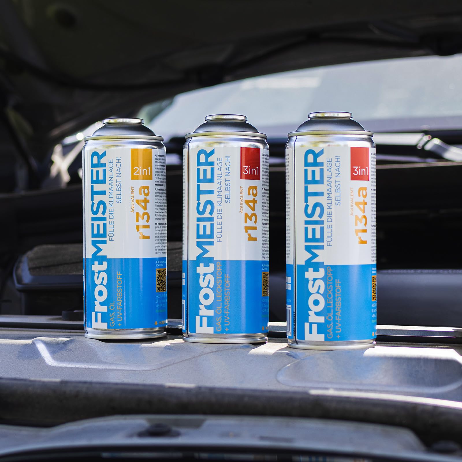 Kältemittel Set R134A Ersatzgas für Autos von 1995 bis 2016 Schlauch