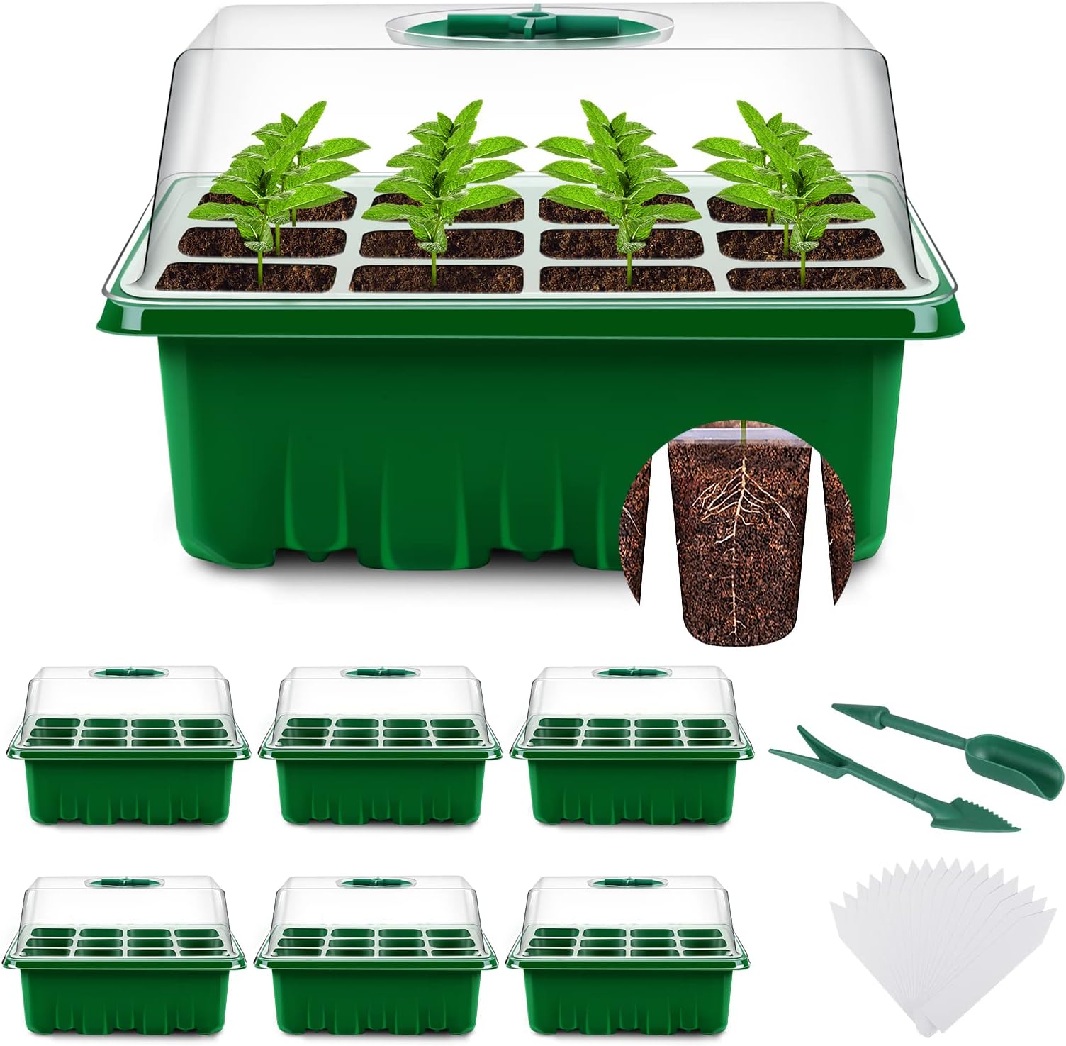 YAUNGEL Seed Trays, 6 Pack 72 Cells Propagator Growing Thicken Seedling Starter Growing Trays with Clear Lids/Adjustable Window for Greenhouse & Gardens, Green