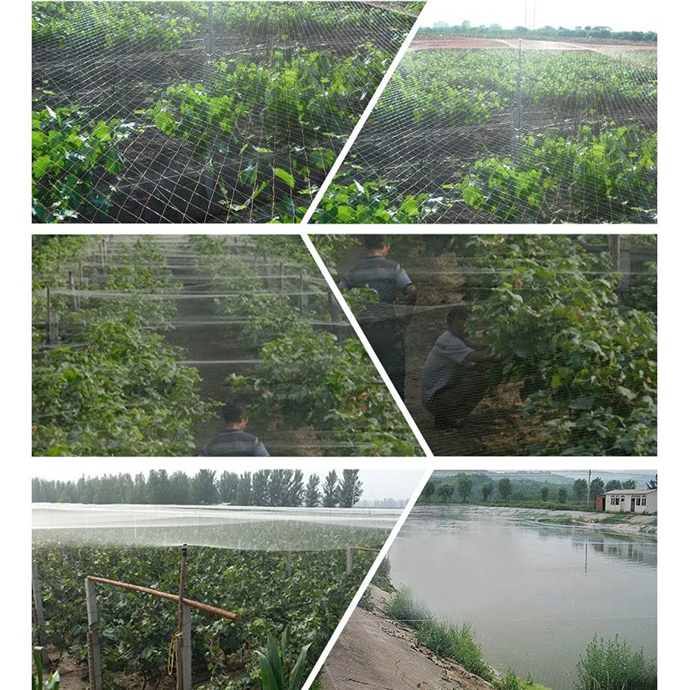 View 6