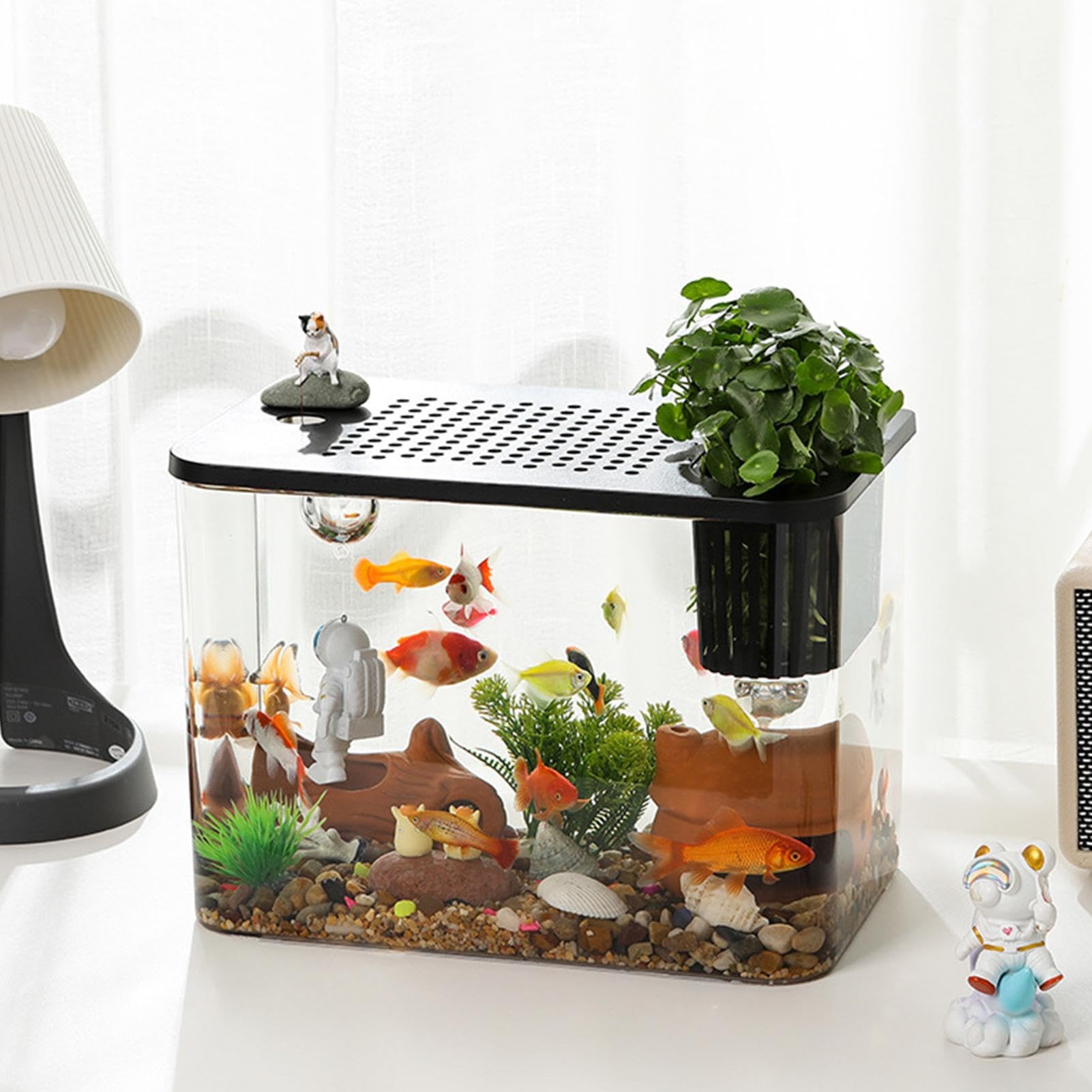 ミニ金魚鉢事務机透明バケツ水族館セルフクリーニング無料水変更植物