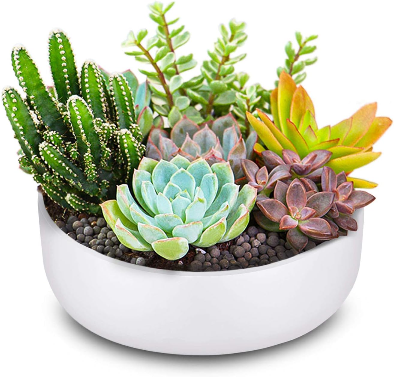 Flexzion Runder weißer KeramikÜbertopf 15,2 cm Töpfe für Sukkulenten