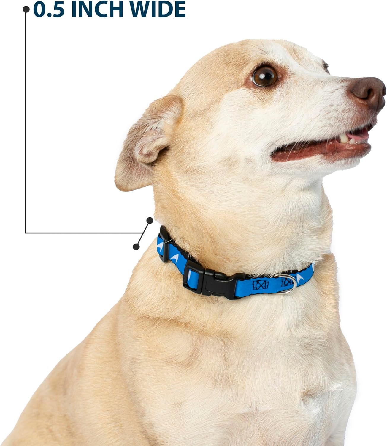 CBS Studios Inc. Pet Collar, Dog Collar Plastic Buckle, Star Trek Starfleet Insignia Blue White, 13 to 17 Inches 1.5 Inch Wide