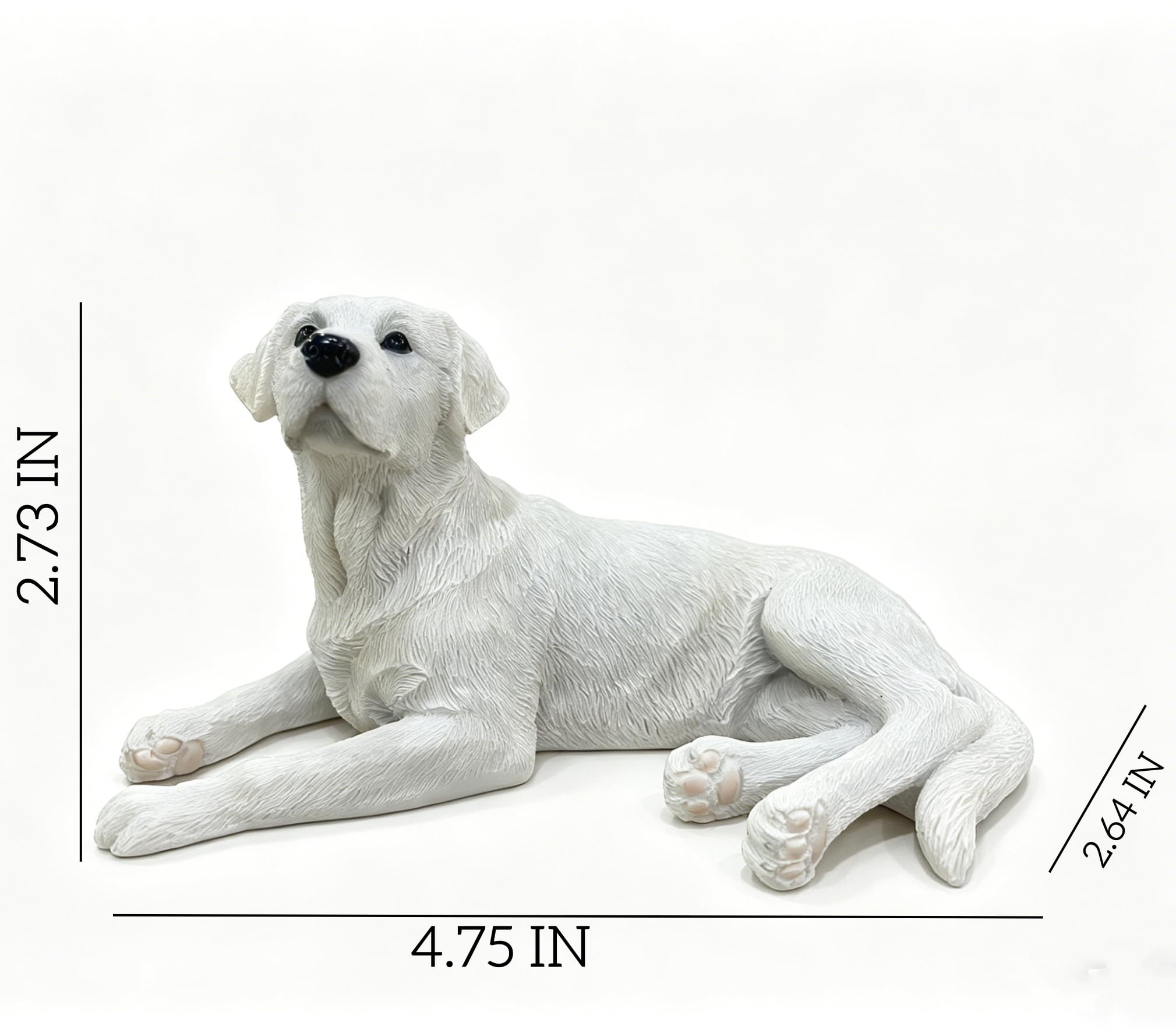 Amazon.co.jp: Artgenius 本物そっくり 眠っているラブラドール