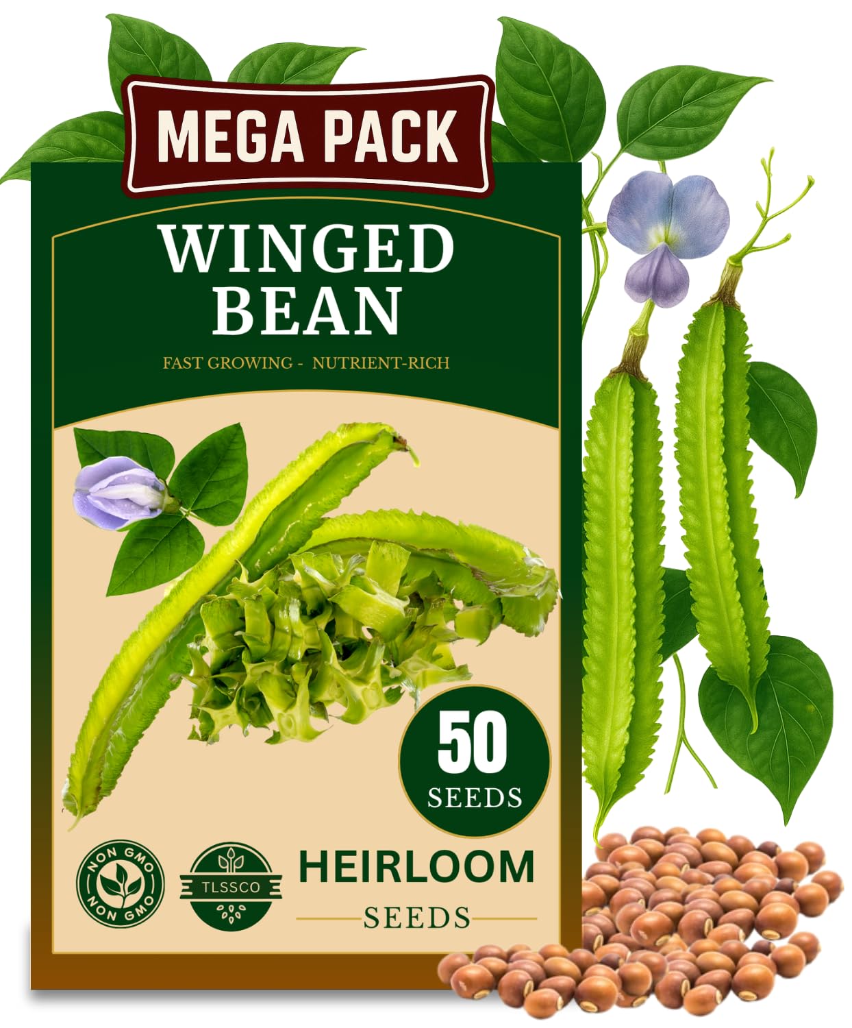 50+ π¨π¦π π£π₯ππ ππ¨π Winged Bean Seeds for Planting, π‘π’π‘-ππ π’ Seeds β High-Yield, Nutritious, Tropical Climbing β Non-GMO, Heirloom Vegetable Dragon Four-Angled Bean