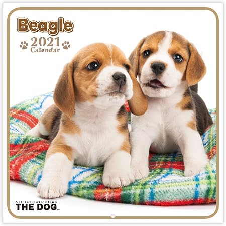 Amazon The Dog ミニカレンダー ビーグル 21年 手帳 カレンダー 文房具 オフィス用品