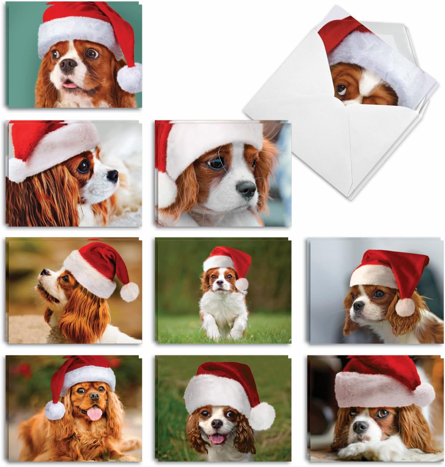 The Best Card Company Captivating Cavalier King Charles - 20 Assorted Boxed Merry Christmas Note Cards with Envelopes (4 x 5.12 Inch) - Happy Fluffy Dogs AM6831XSG-B2x10