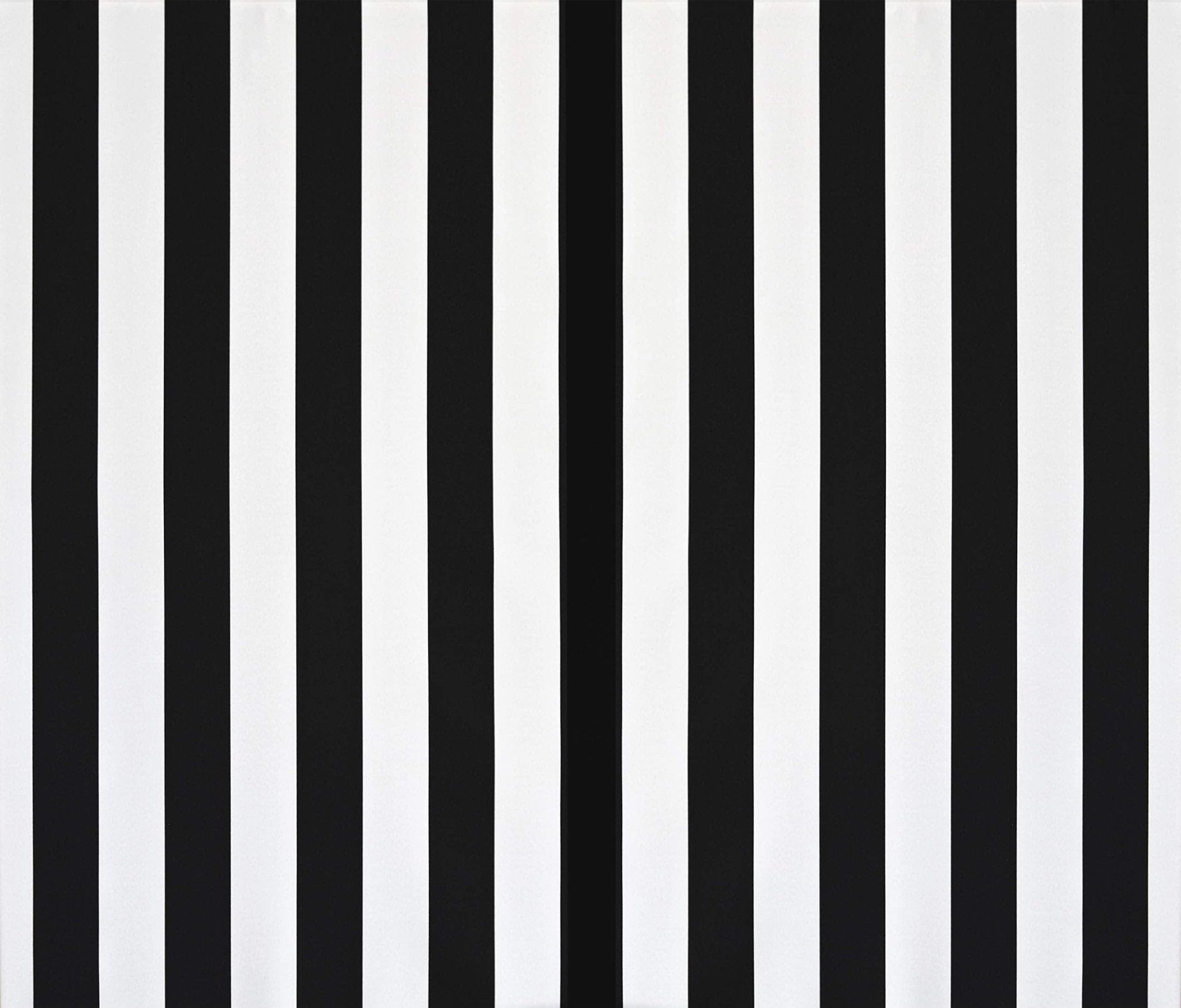 RSH DECOR: Lumbar Throw Pillows Set of 4 | 20” x 12