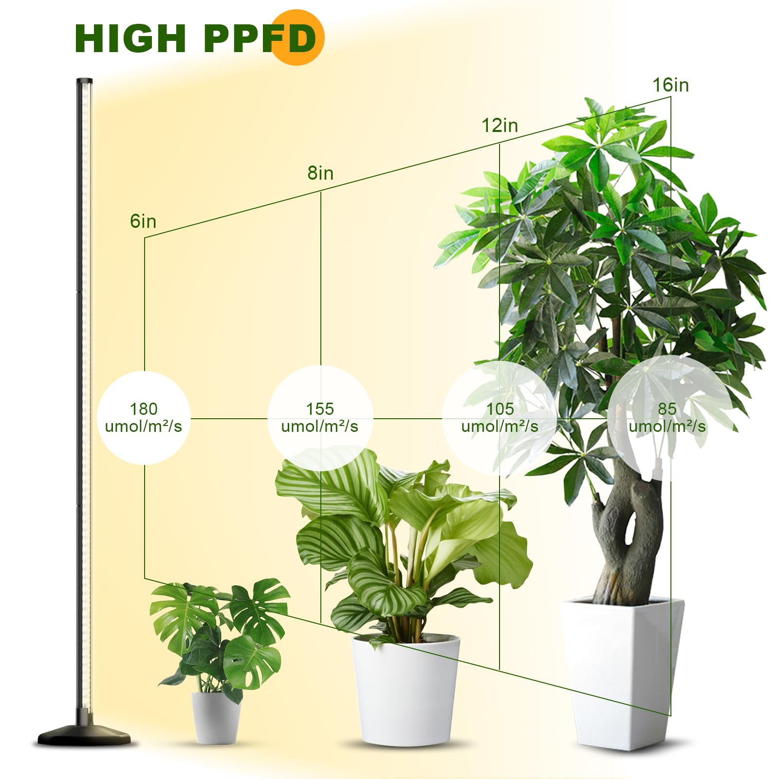 bedee Lampada a LED Piante D'appartamento: Luce Per Piante a Spettro Completo da 6000K per la Germinazione con Timer E Lampada Regolabile Su 10 Livelli Per Serra Con Accessori Per Appenderla