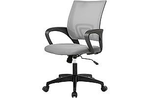 PayLessHere Ergonomic Grey Computer Chair with Lumbar Support and Armrests