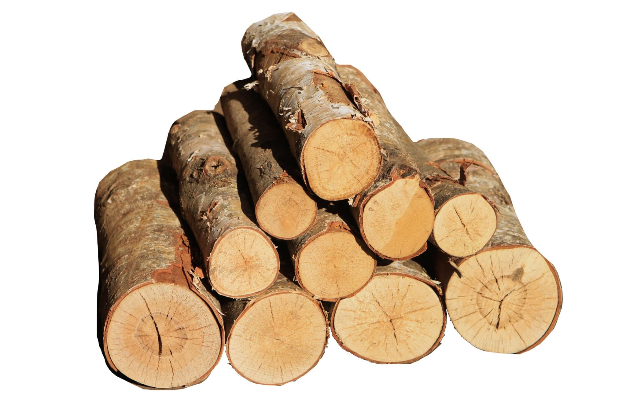 STRC- Natural Multi Purpose Firewood Logs for Grilling, Cooking, Fire Pit, Pizza Ovens, Fireplace, Lohri - Pure Bambool Firewood (5 KGS)-image-17