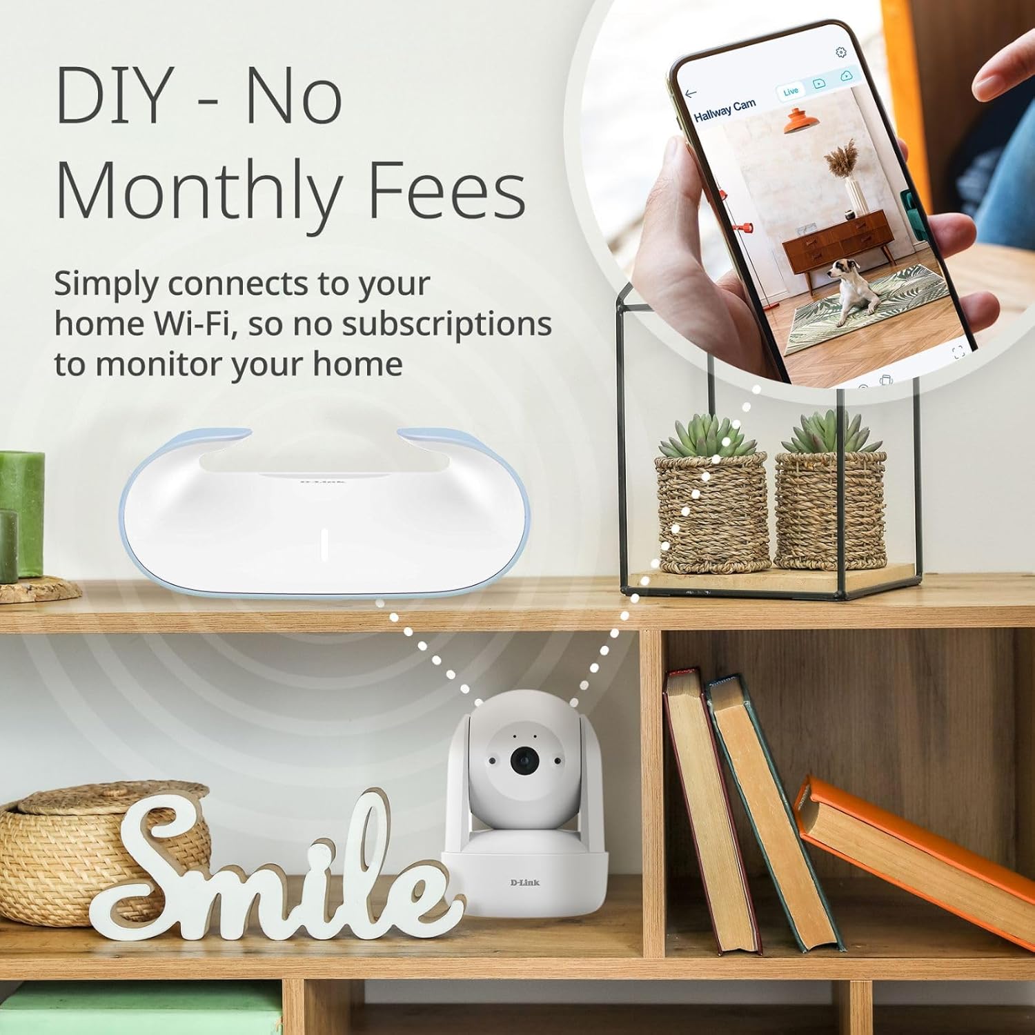 Comparison of standard resolution vs. 2K resolution for a dog's face