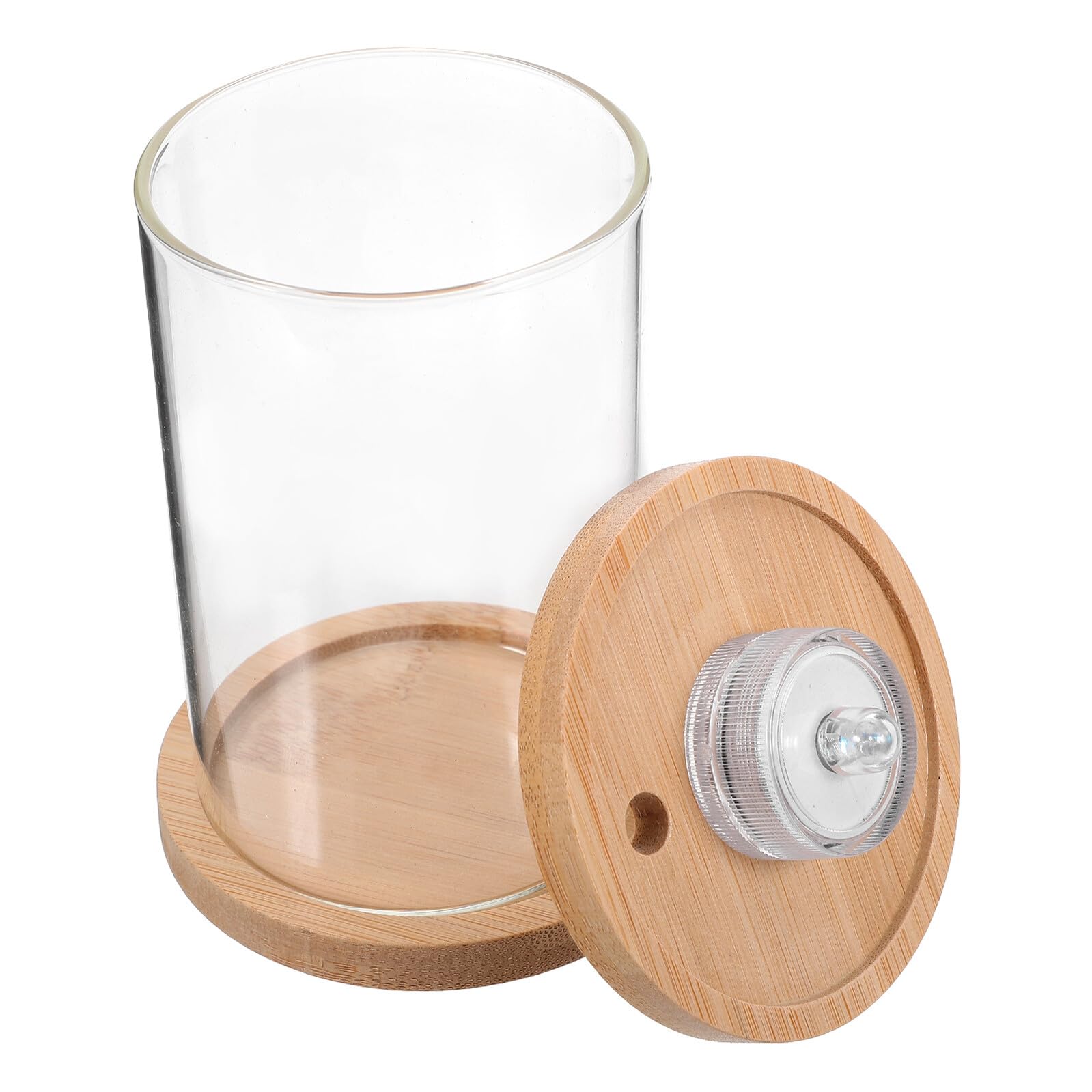 Aquarium pour poissons Betta : déco de bureau apaisante en verre